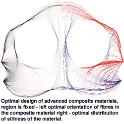 Optimal design of advanced composite materials, region is fixed - left optimal orientation of fibres in the composite material right - optimal distribution of stifness of the material. 